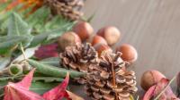 herfstkrans maken