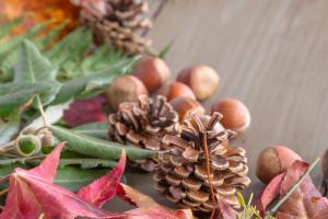 herfstkrans maken